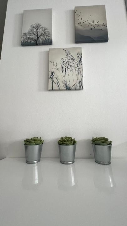 Apartma Rakita Alsómarác Kültér fotó
